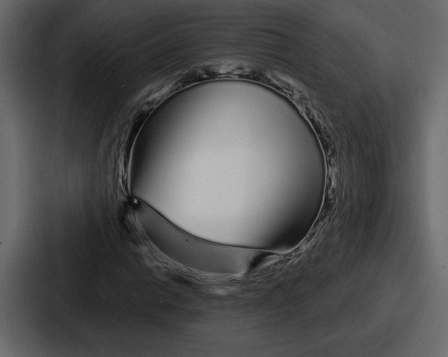 X0000086781014200705111751