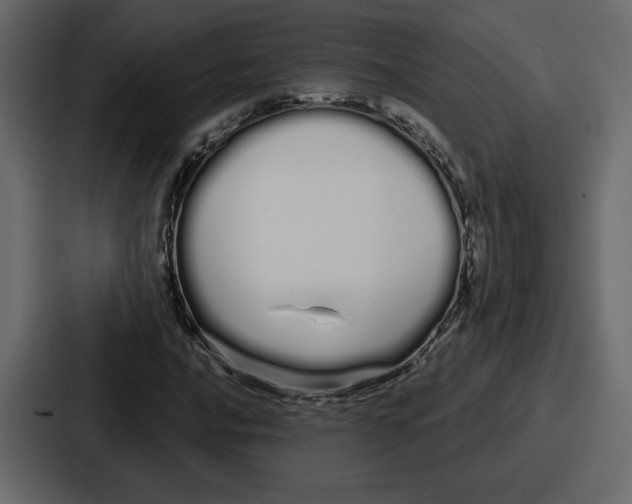 X0000086781016200705111751