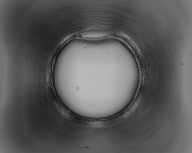 X0000086781017200705111751