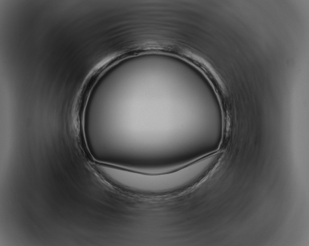 X0000086781018200705111751