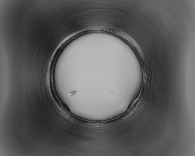 X0000086781020200705111751