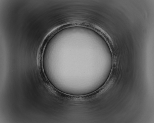 X0000086781021200705111751