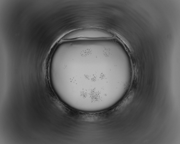 X0000086781023200705111751