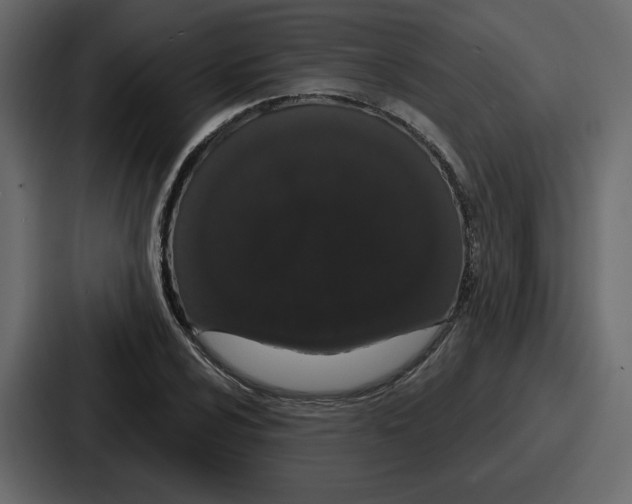 X0000086781024200705111751