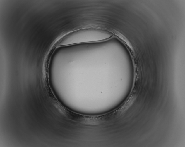 X0000086781027200705111751