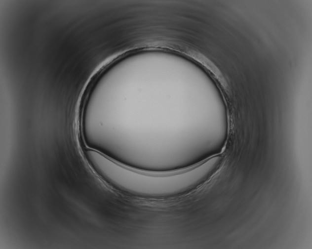 X0000086781028200705111751