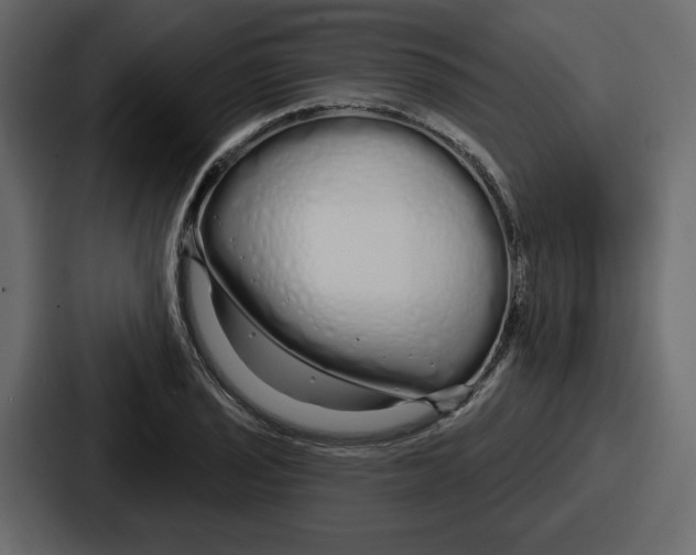 X0000086781029200705111751