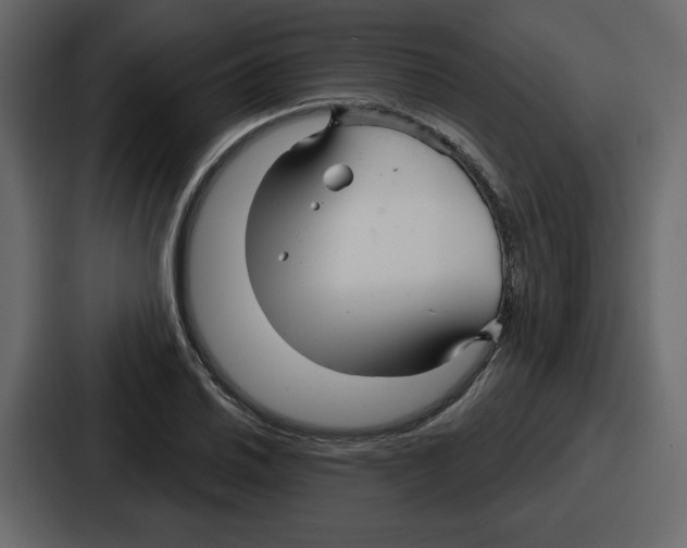 X0000086781030200705111751