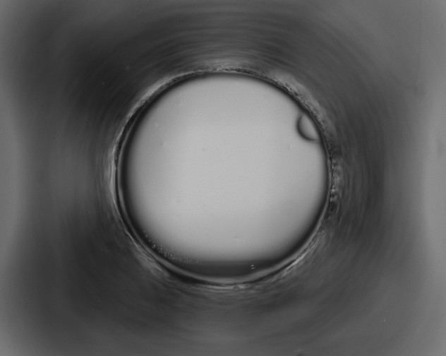 X0000086781031200705111751