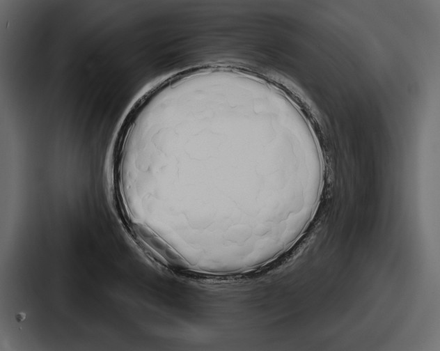 X0000086781032200705111751