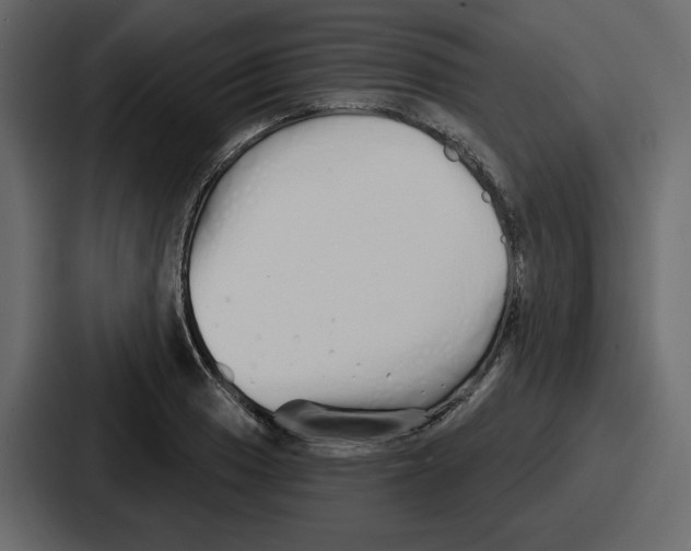 X0000086781033200705111751