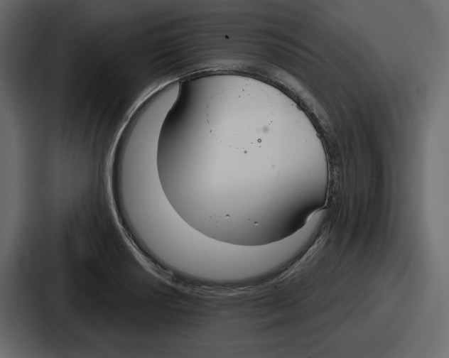 X0000086781034200705111751