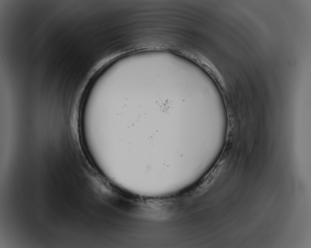 X0000086781035200705111751