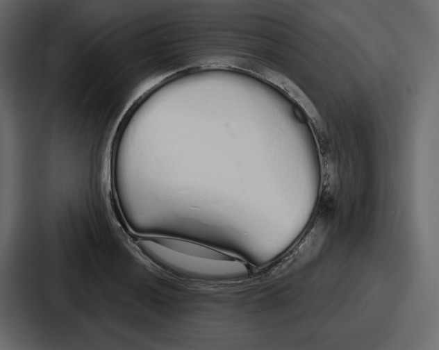 X0000086781036200705111751