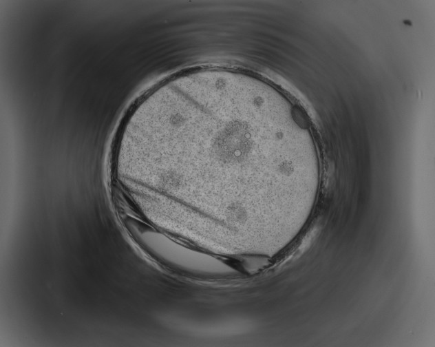 X0000086781037200705111751