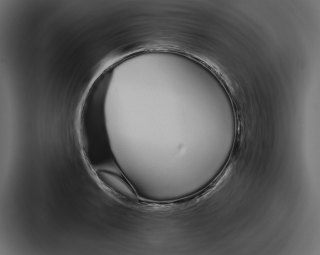 X0000086781038200705111751