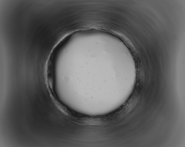 X0000086781039200705111751