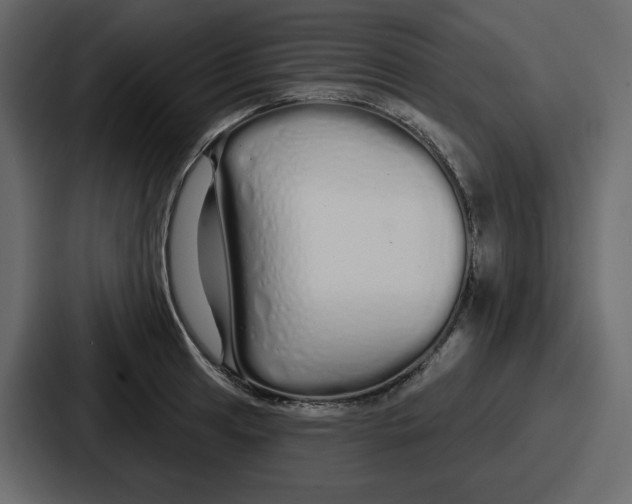 X0000086781041200705111751