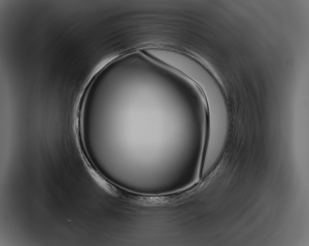 X0000086781042200705111751