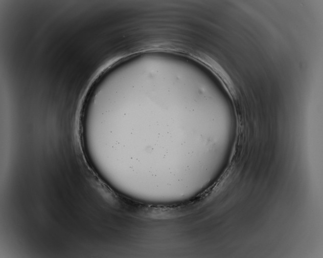 X0000086781043200705111751