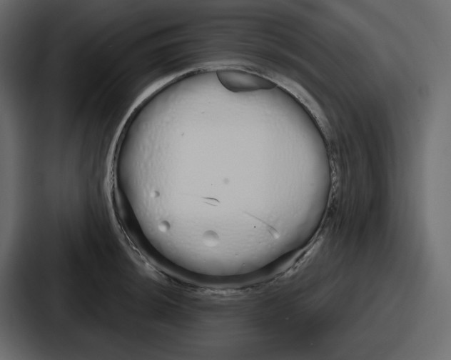 X0000086781044200705111751