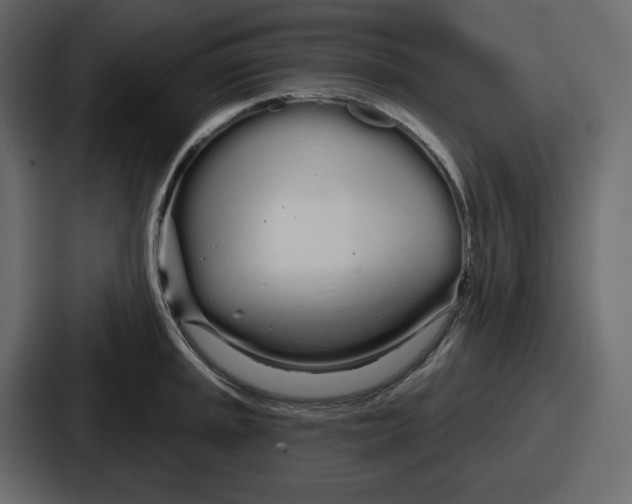 X0000086781045200705111751