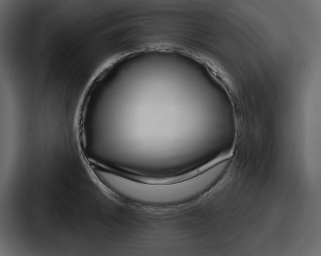 X0000086781046200705111751