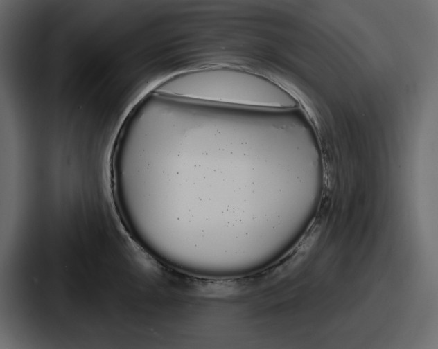 X0000086781047200705111751