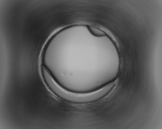 X0000086781048200705111751