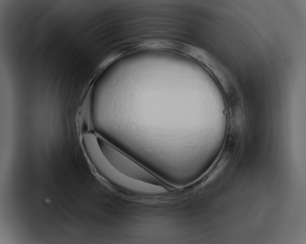 X0000086781049200705111751