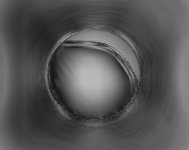 X0000086781050200705111751