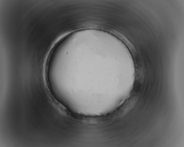 X0000086781051200705111751