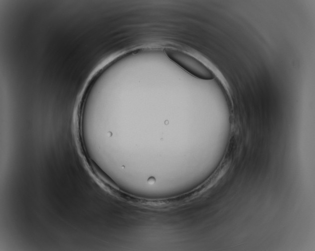 X0000086781053200705111751