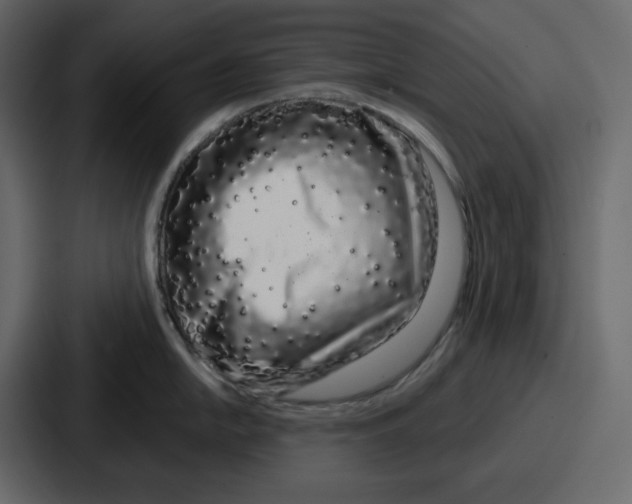 X0000086781054200705111751