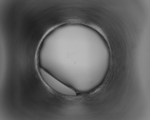 X0000086781056200705111751