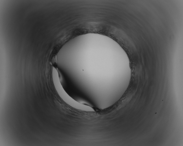 X0000086781058200705111750