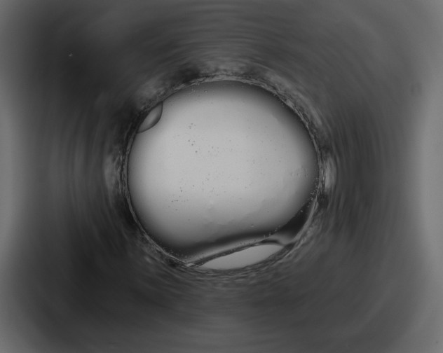 X0000086781059200705111750