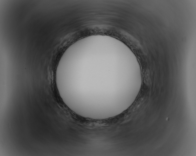 X0000086781061200705111750