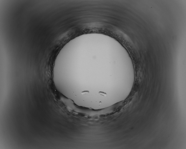 X0000086781062200705111750