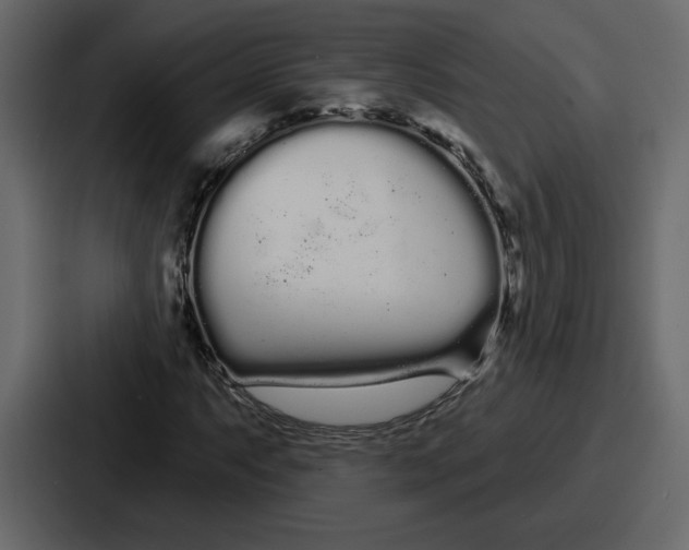 X0000086781063200705111750