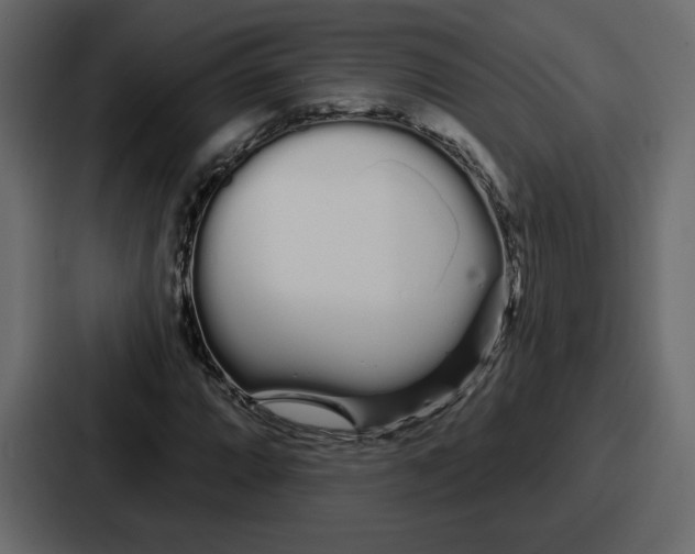 X0000086781064200705111750