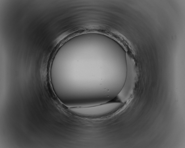 X0000086781065200705111750