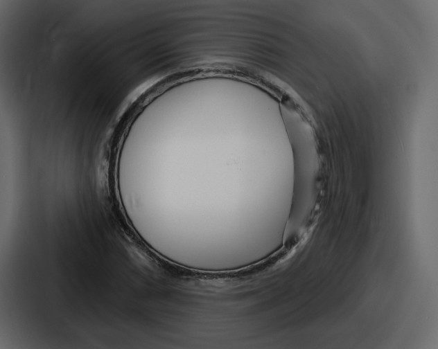 X0000086781066200705111750