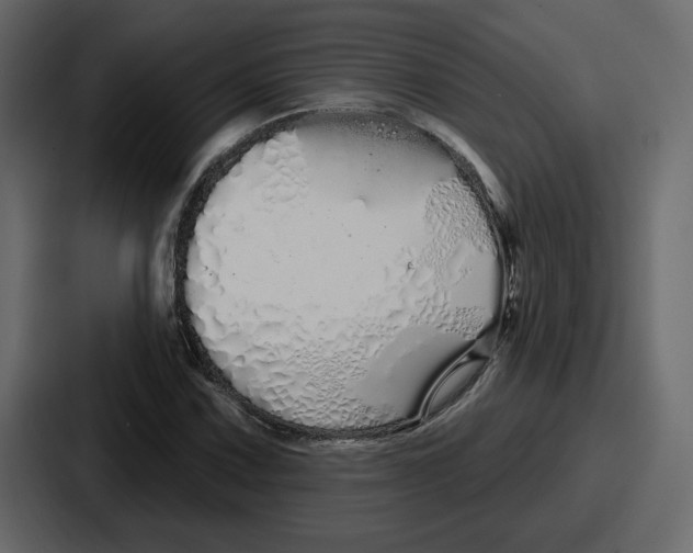 X0000086781067200705111750