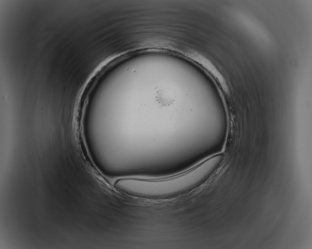 X0000086781068200705111750