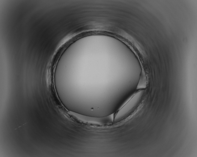 X0000086781069200705111750