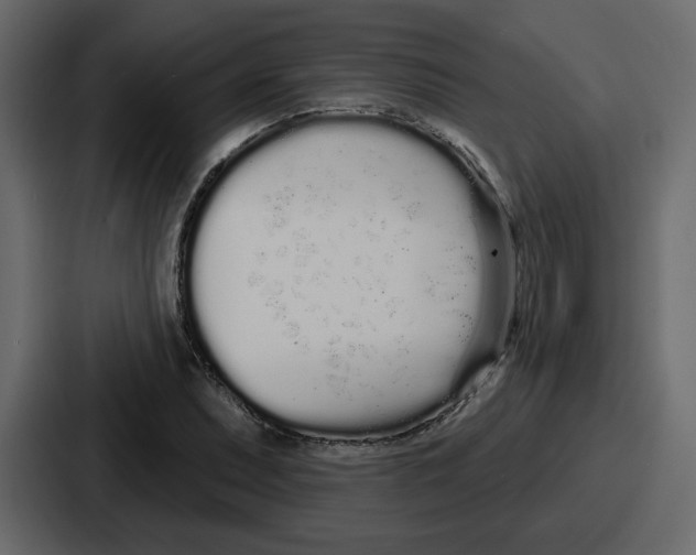 X0000086781071200705111750