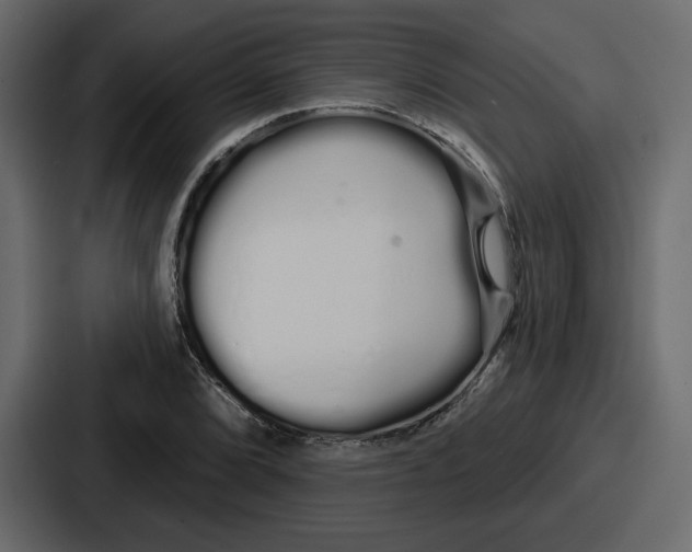 X0000086781072200705111750