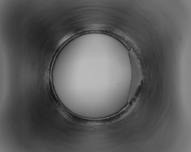 X0000086781073200705111750