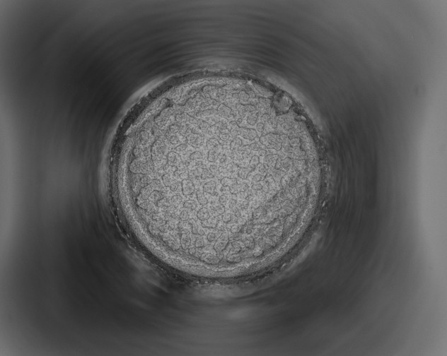 X0000086781074200705111750